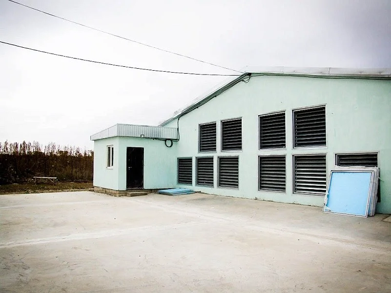 Exterior shutters of the exhaust fan bank on a poultry house