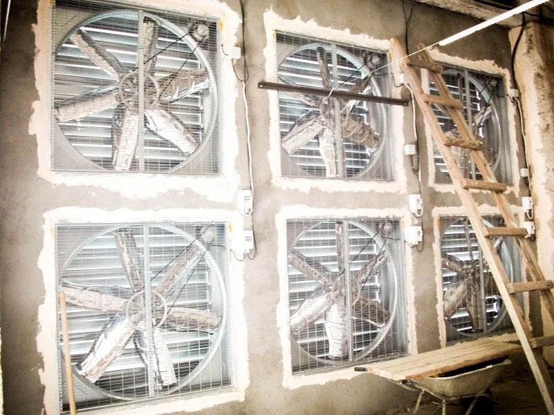 Bank of AGR-1200 fans viewed from inside a turkey building
