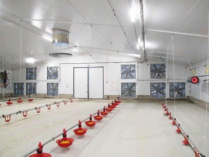 Tunnel exhaust fan wall inside a turkey house