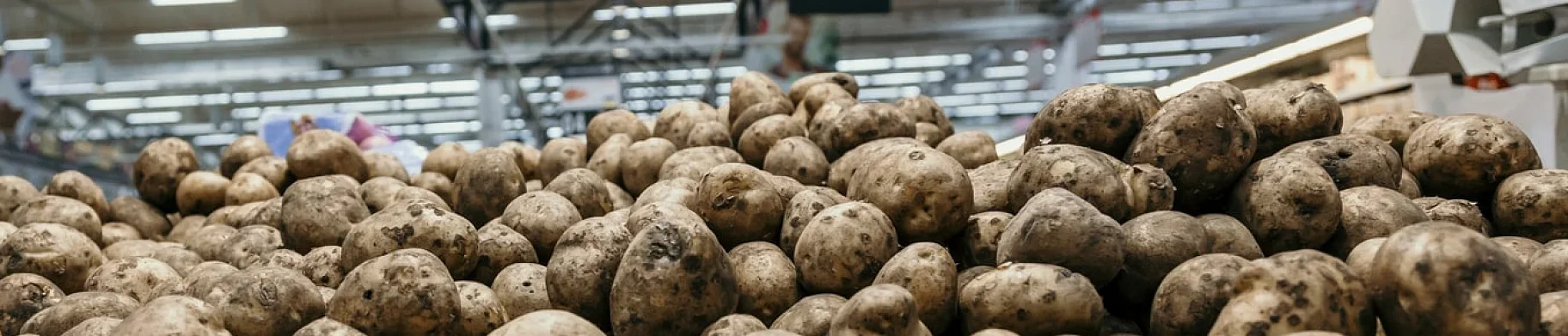 img: Cold Sweetening in Stored Potatoes: Reducing Sugars, Fry Colour and Acrylamide