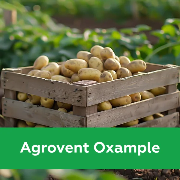 img: Agrovent Oxample №1