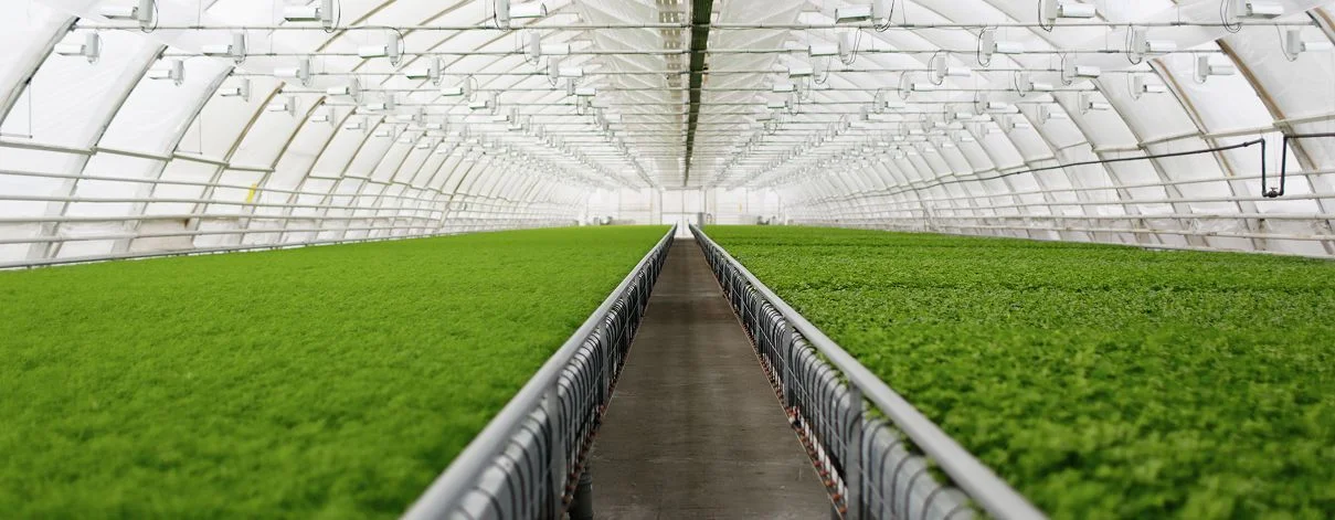 img: Greenhouses
