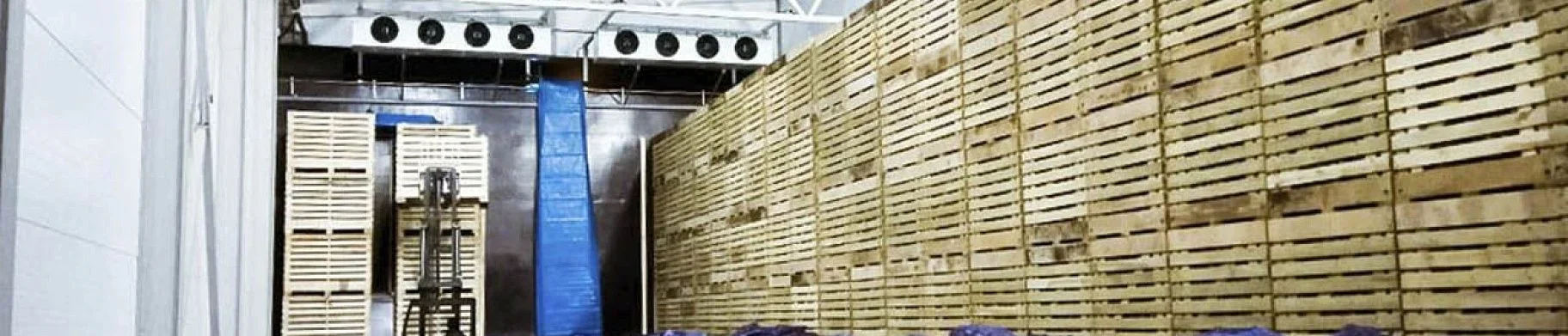 img: Potato Storage in Bags vs Boxes: What Changes for Indian Operators?