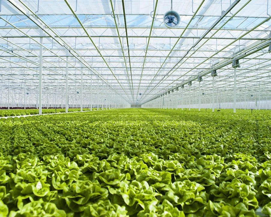 img: Greenhouses