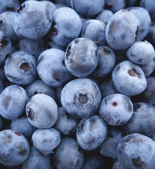 Berries cooling
