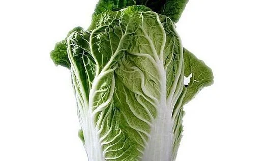 img: 