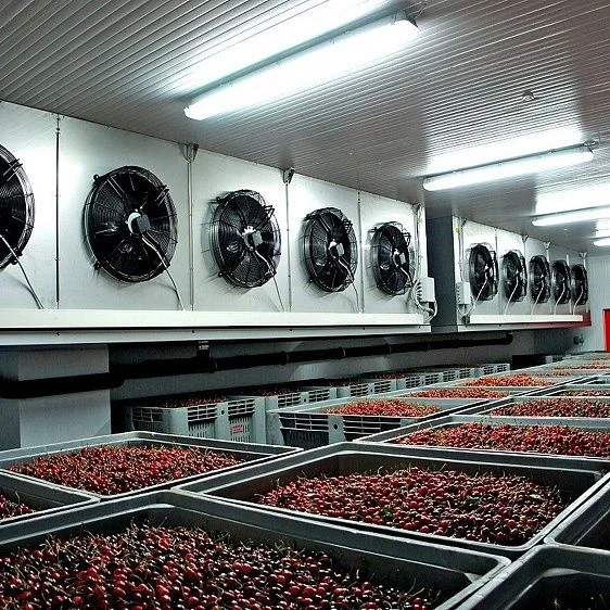 img: № 3 Blast cooling chambers for berries
