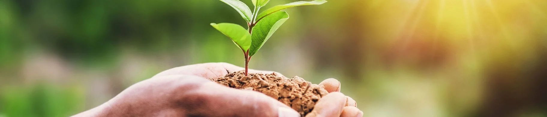 img: Careers in agriculture