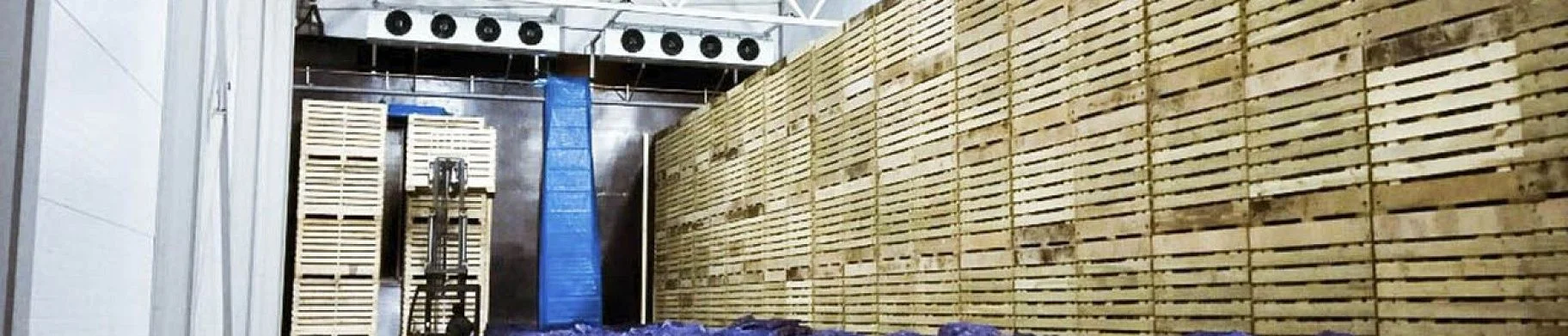 img: Cold Storage as a Business: Rental Model for Fruit and Vegetable Storage