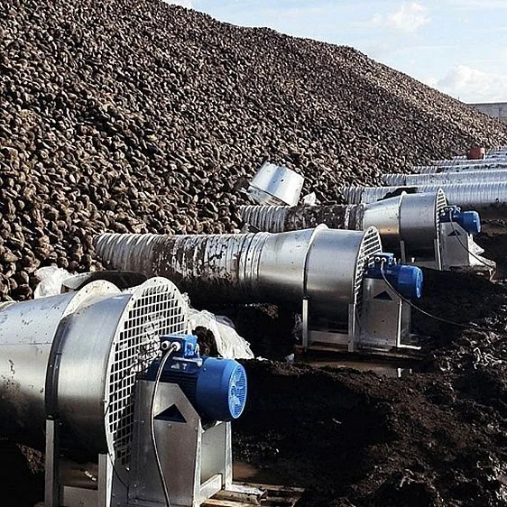 img: № 1 Bulk storage of beets