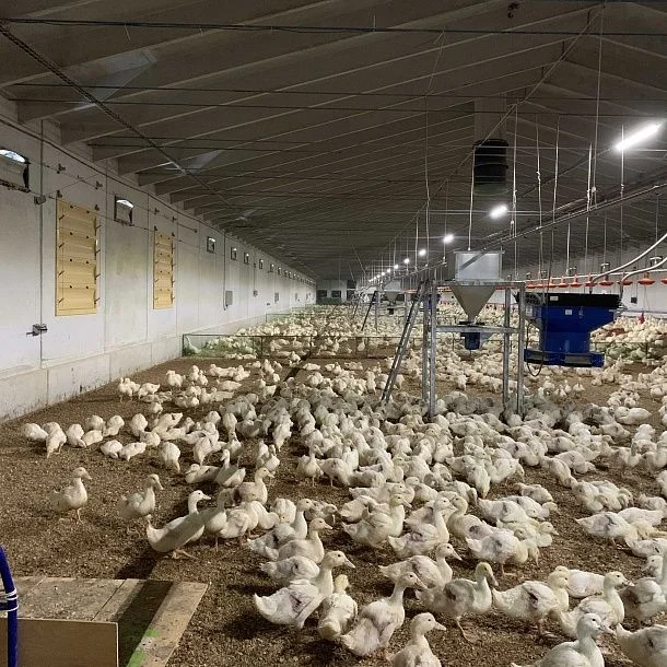 img: Spin Feeder "CruTik" №6