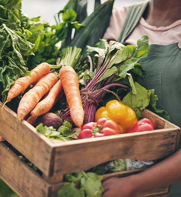 Vegetable storage