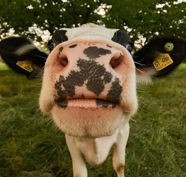 img: Do you have any questions or need a consultation?