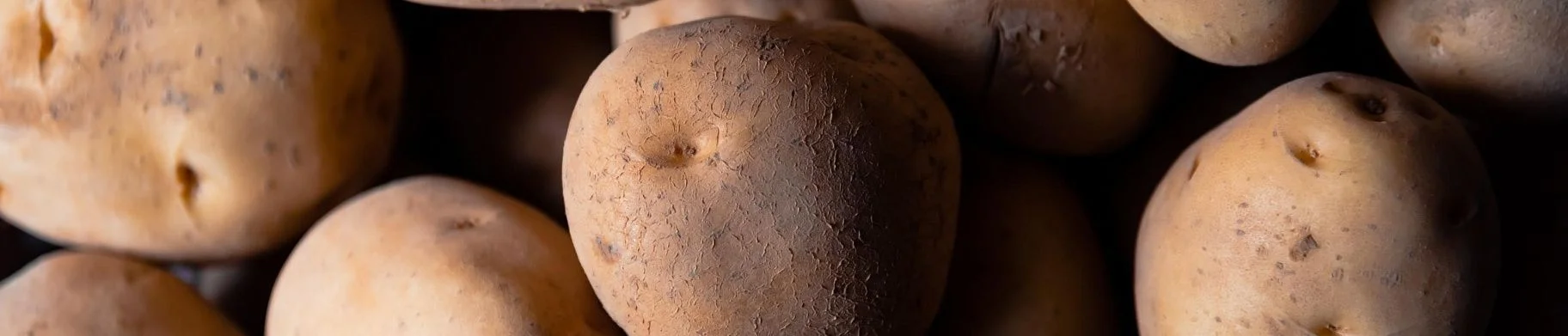 img: How to prevent storage potato diseases?