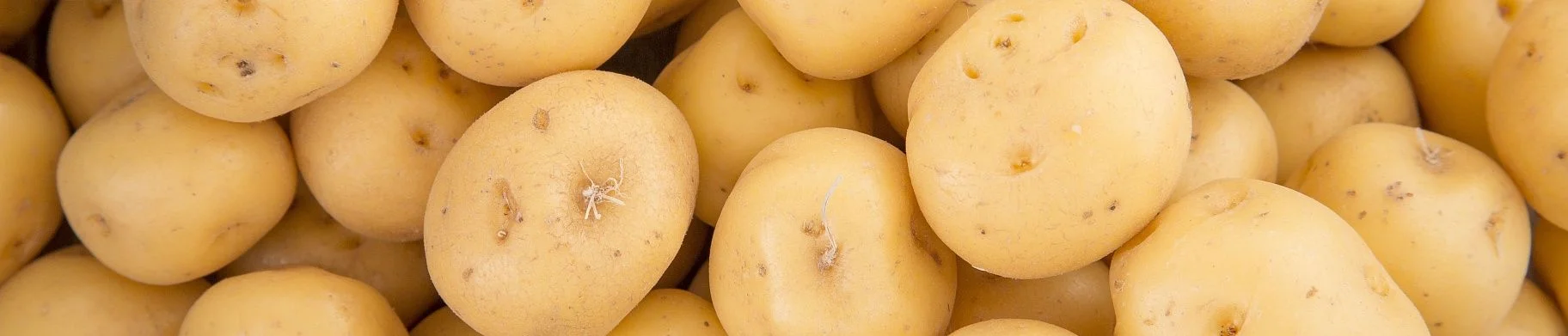 img: How to Extend Potato Shelf Life: 8 Expert Tips for Long-Term Storage
