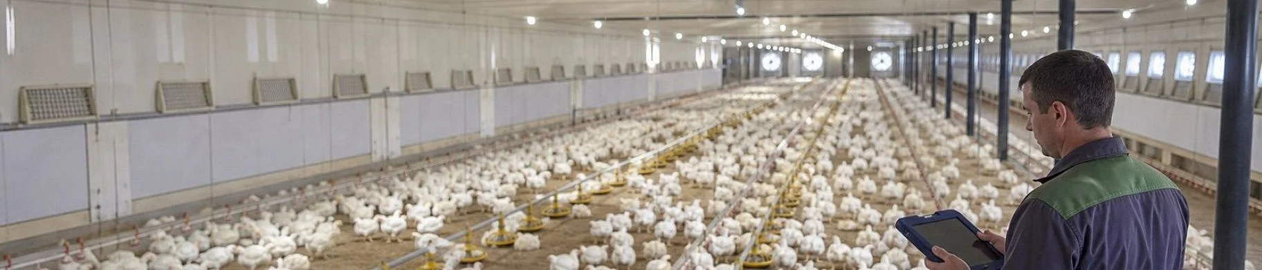 img: From CCTV to Flock Intelligence: A Practical ValentinaCV Pilot