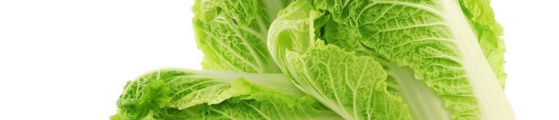 img: Napa cabbage. Storage parameters