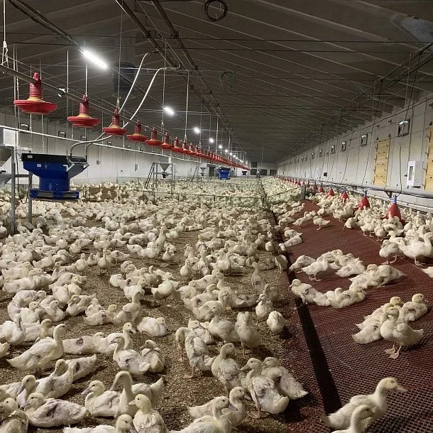 img: Spin Feeder "CruTik" №1