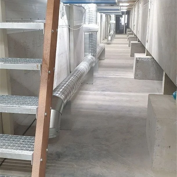img: CO2 Removal System for Vegetable Storage №4