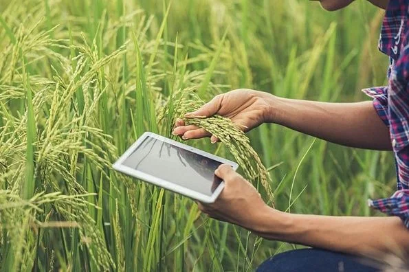 img: Careers in Agrovent