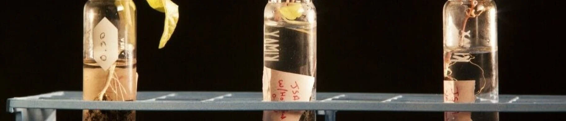 img: Farming in space