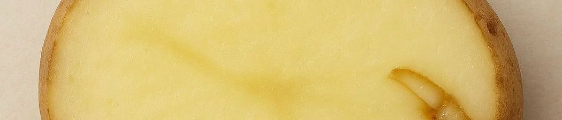 img: Why Do Potato Sprouts Sometimes Grow Inward During Storage?