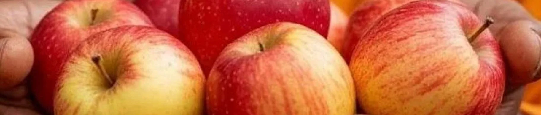 img: Why Apples Crack in Storage and How to Prevent It?