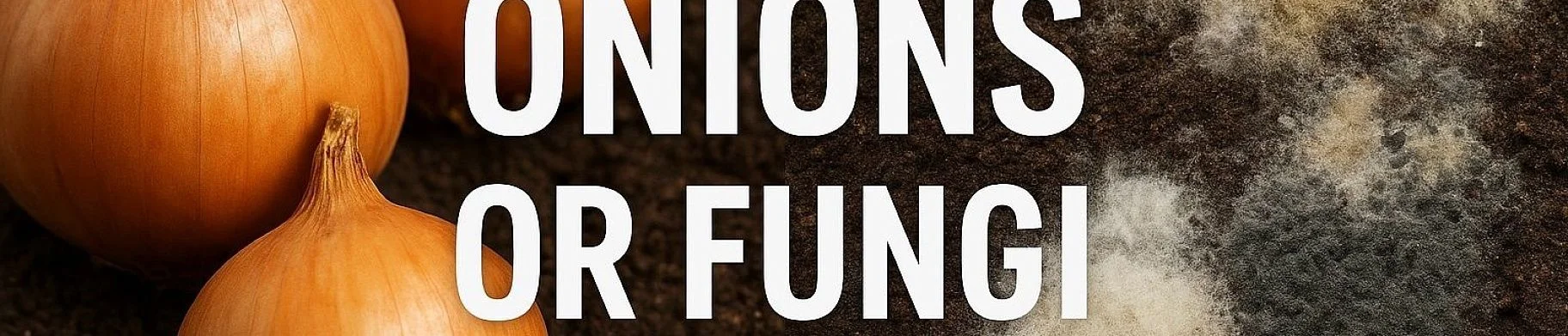 img: Onion Storage: How Temperature and Humidity Decide Whether Your Crop Survives