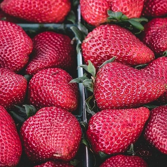 img: № 1 Blast cooling chambers for berries