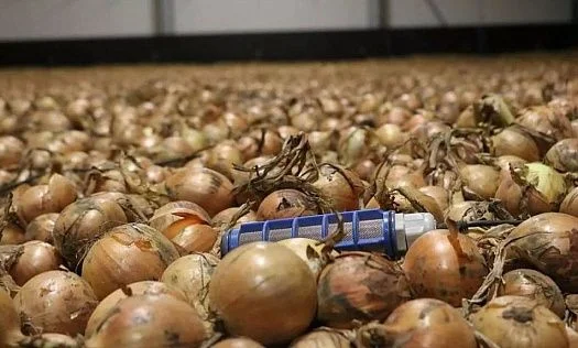 img: Agrovent sensors