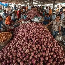 img: Should India Change Its Onion Storage Culture?