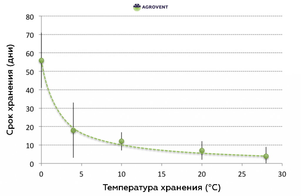 Срок хранения капусты при различных температурах.png