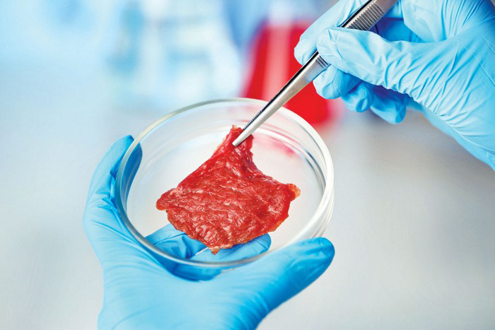 Cell-cultured meat.jpg