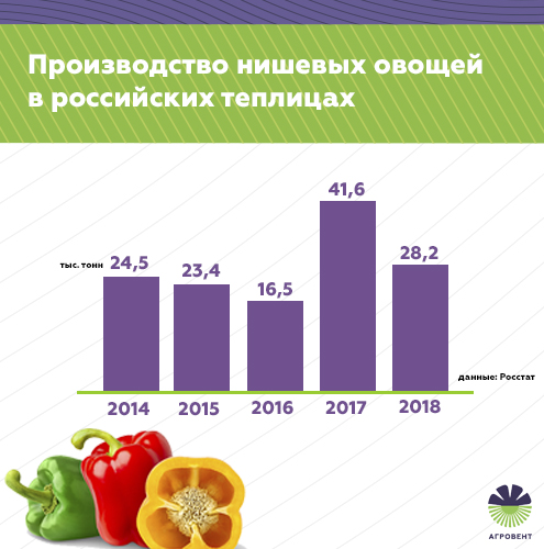 Производство нишевых овощей в российских теплицах.jpg