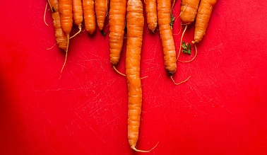 Как хранить морковь в овощехранилище?