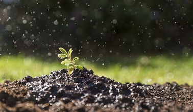 No-till технология обработки почвы: за и против