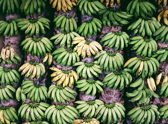 Камеры дозревания бананов и плодовоовощной продукции