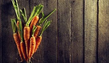 Заболевания моркови: как избежать потерь урожая