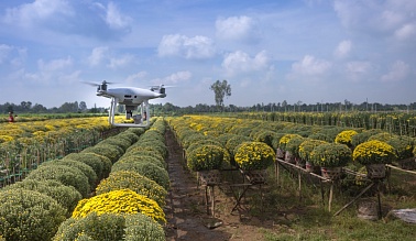 Автоматизация процессов в сельском хозяйстве